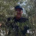 דורון מיינרט