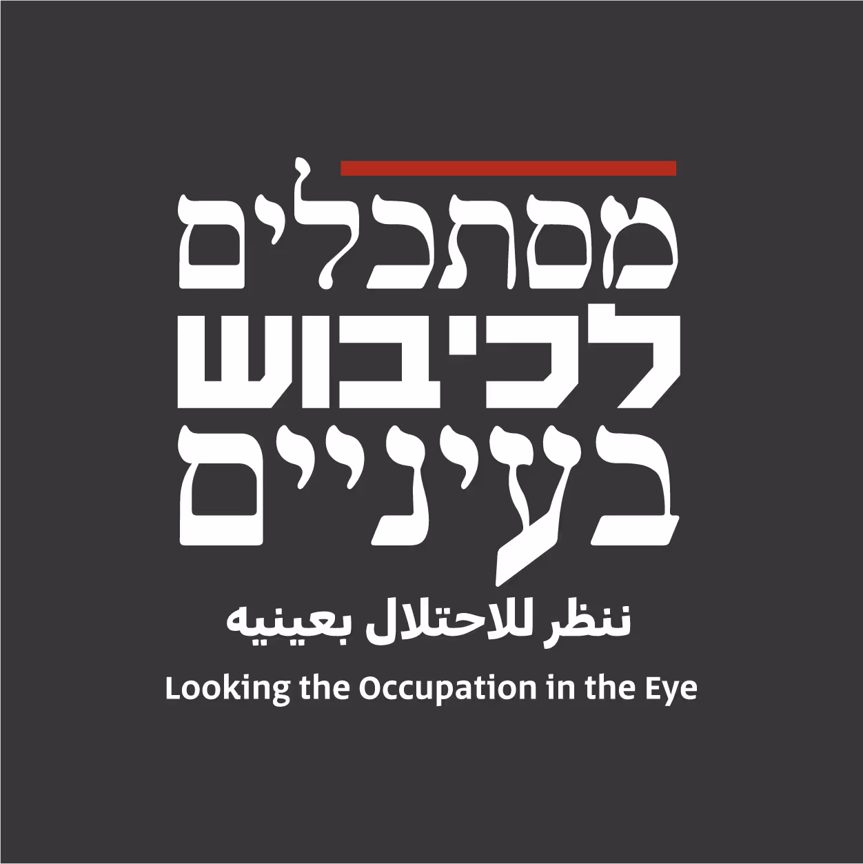 מערכת מסתכלים