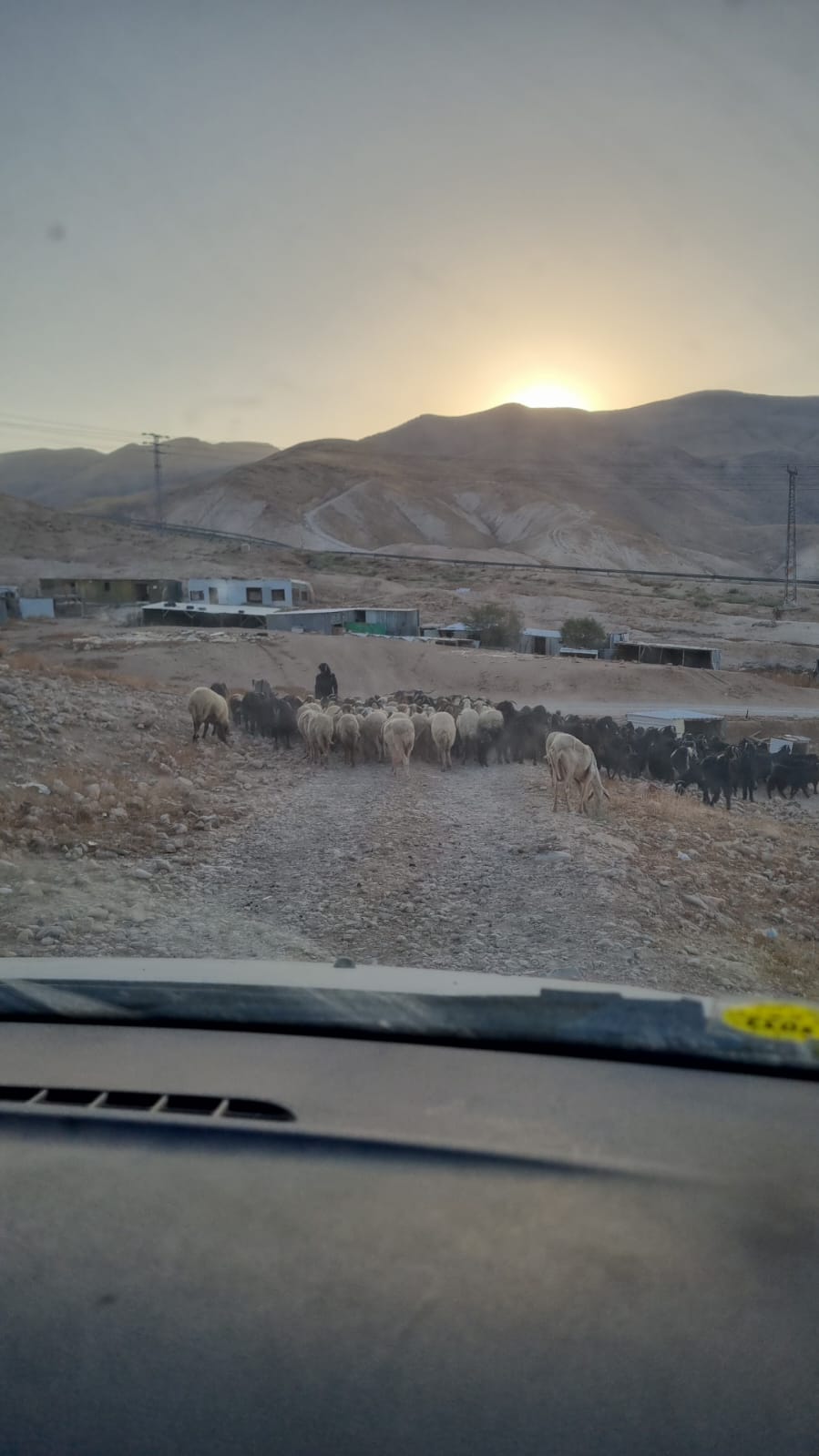 עדר מתנחלים בקרבת בתי קהילת&nbsp;ראס&nbsp;אל-עין
