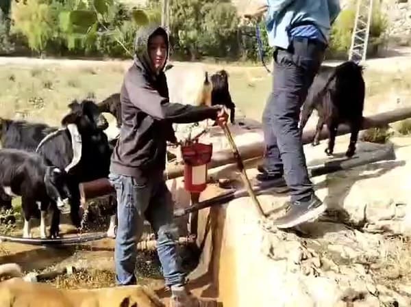 סיפור לערב חג