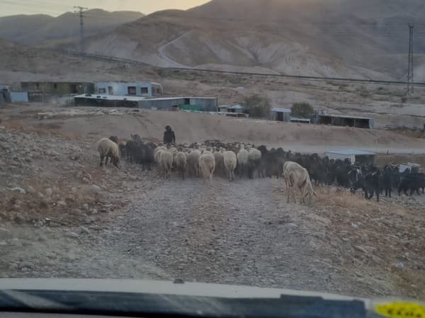 מערכת המשפט מגבה את עוולות הכיבוש ואת מבצעיהן