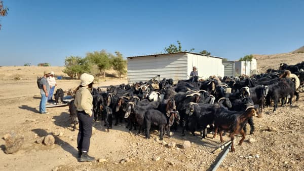 סיכום אירועים שבועי – 22-28 יוני 2025