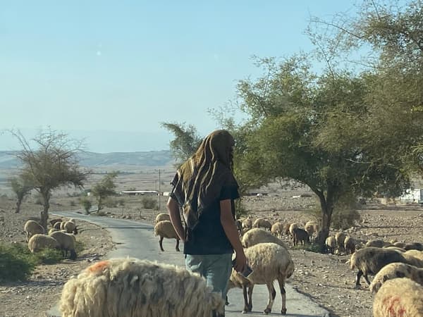 סיכום אירועים שבועי – 3 באוגוסט – 9 באוגוסט 2025