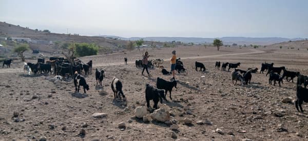סיכום שבועי  - 21 בספטמבר – 27 בספטמבר 2025
