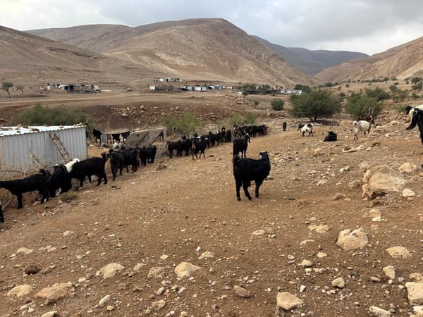 סיכום שבועי – 7 בדצמבר – 13 בדצמבר 2025