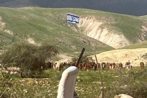 סקירה שבועית 22 בפברואר – 28 בפברואר 2026