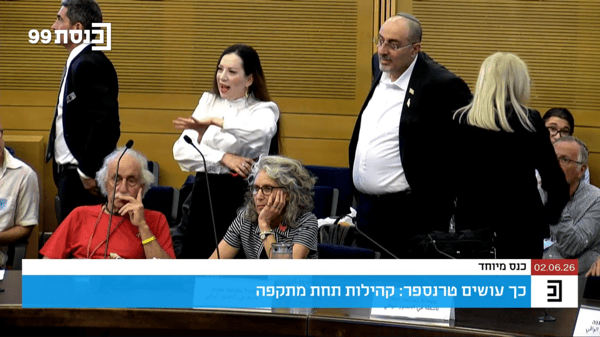 השתוללות ח